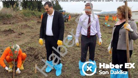 Dalaman’da Tarımsal Kalkınma Hamlesi: Cezaevi Arazisi Sakız Ağaçlarıyla Yeşerdi