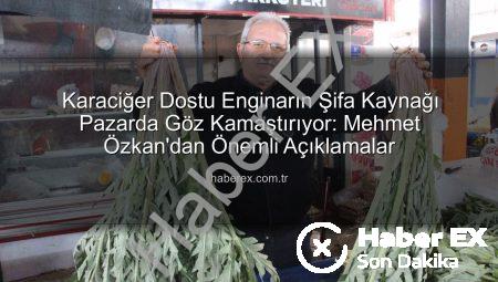 Karaciğer Dostu Enginarın Şifa Kaynağı Pazarda Göz Kamaştırıyor: Mehmet Özkan’dan Önemli Açıklamalar