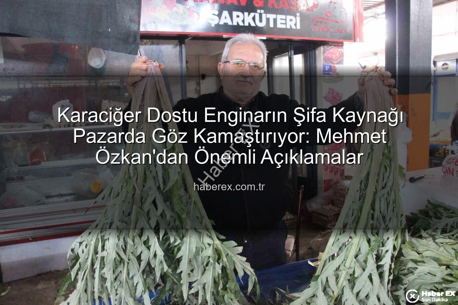 karaciğer dostu enginar - Karaciğer Dostu Enginarın Şifa Kaynağı Pazarda Göz Kamaştırıyor: Mehmet Özkan'dan Önemli Açıklamalar