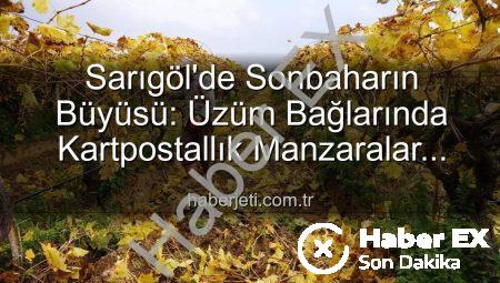 Sarıgöl’de Yaprak Dökümü Manzarası Eşliğinde Budama Çalışmaları: Doğanın Renk Cümbüşü İşçilere İlham Veriyor