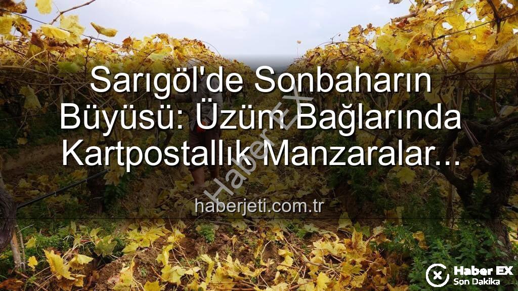 Sarıgöl budama - Sarıgöl'de Yaprak Dökümü Manzarası Eşliğinde Budama Çalışmaları: Doğanın Renk Cümbüşü İşçilere İlham Veriyor