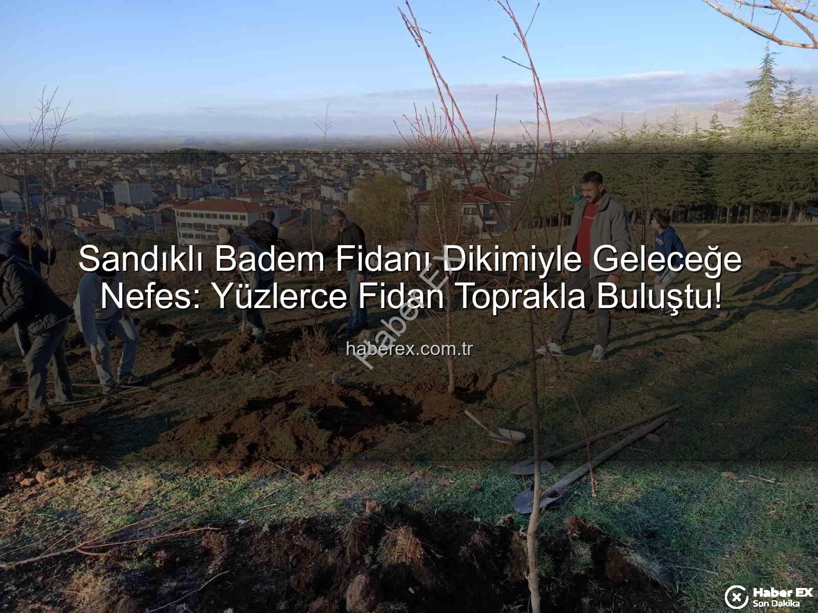 Sandıklı badem fidanı dikimi - Sandıklı Badem Fidanı Dikimiyle Geleceğe Nefes: Yüzlerce Fidan Toprakla Buluştu!