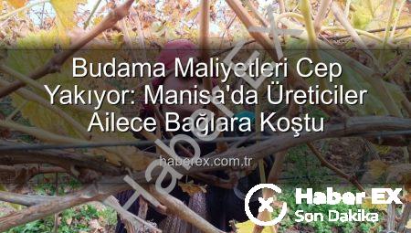 Budama Maliyetleri Cep Yakıyor: Manisa’da Üreticiler Ailece Bağlara Koştu