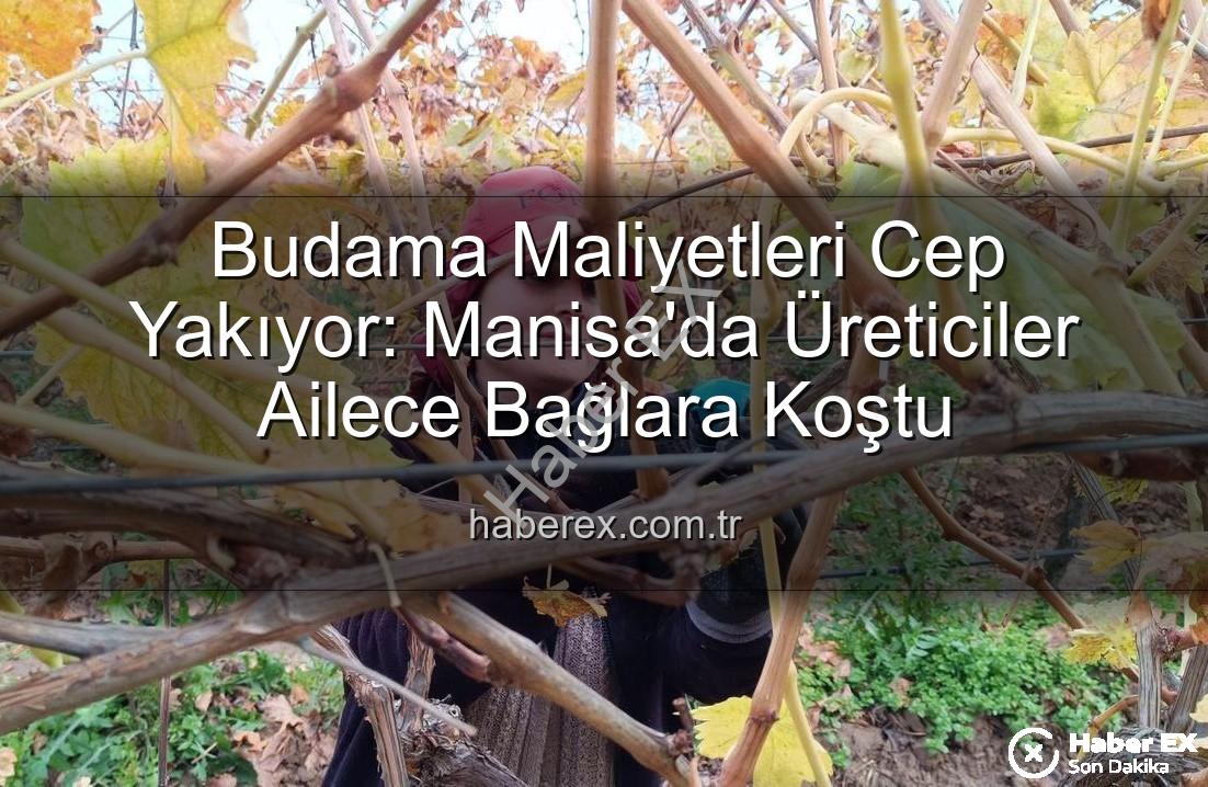 budama maliyeti - Budama Maliyetleri Cep Yakıyor: Manisa'da Üreticiler Ailece Bağlara Koştu
