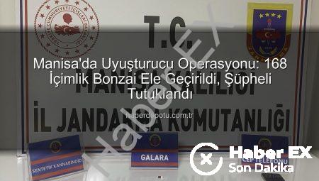 Manisa’da Uç Bonzai Operasyonu: 168 Doz Uyuşturucu Ele Geçirildi, Şüpheli Tutuklandı