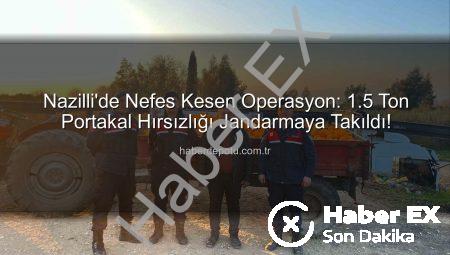 Nazilli’de Dev Operasyon: 1.5 Ton Portakal Hırsızlığı Jandarmaya Takıldı, Şüpheliler Yakalandı