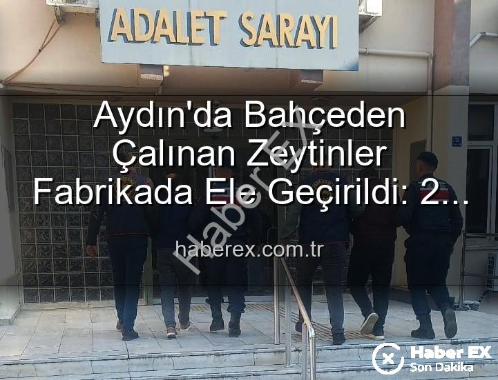 zeytin hırsızlığı - Aydın'da Bahçeden Çalınan Zeytinler Fabrikada Ele Geçirildi: 2 Şüpheli Tutuklandı