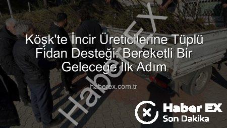 Köşk’te İncir Üreticilerine Tüplü Fidan Desteği: Bereketli Bir Geleceğe İlk Adım