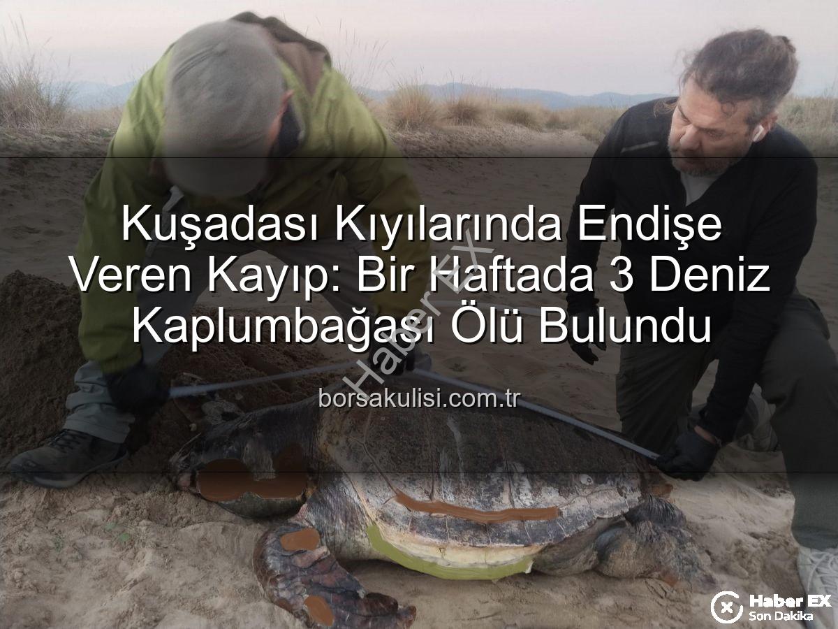 deniz kaplumbağası - Kuşadası Kıyılarında Tüyler Ürperten Keşif: Bir Haftada 3 Deniz Kaplumbağası Ölü Bulundu!