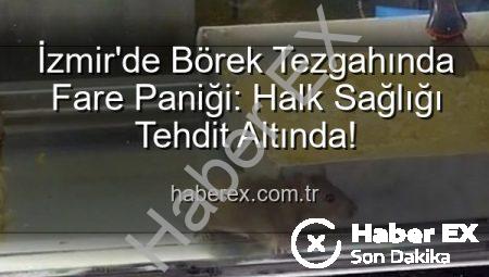 İzmir’de Börek Tezgahında Fare Paniği: Halk Sağlığı Tehdit Altında!