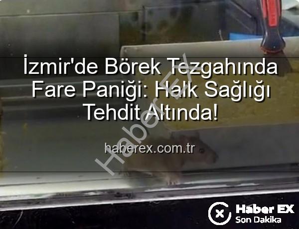 börek tezgahında fare - İzmir'de Börek Tezgahında Fare Paniği: Halk Sağlığı Tehdit Altında!