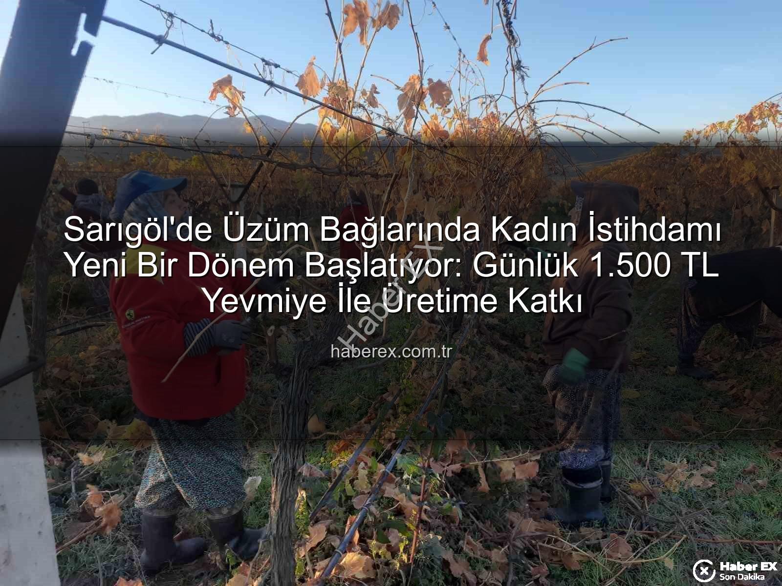 kadın istihdamı - Sarıgöl'de Üzüm Bağlarında Kadın İstihdamı Yeni Bir Dönem Başlatıyor: Günlük 1.500 TL Yevmiye İle Üretime Katkı