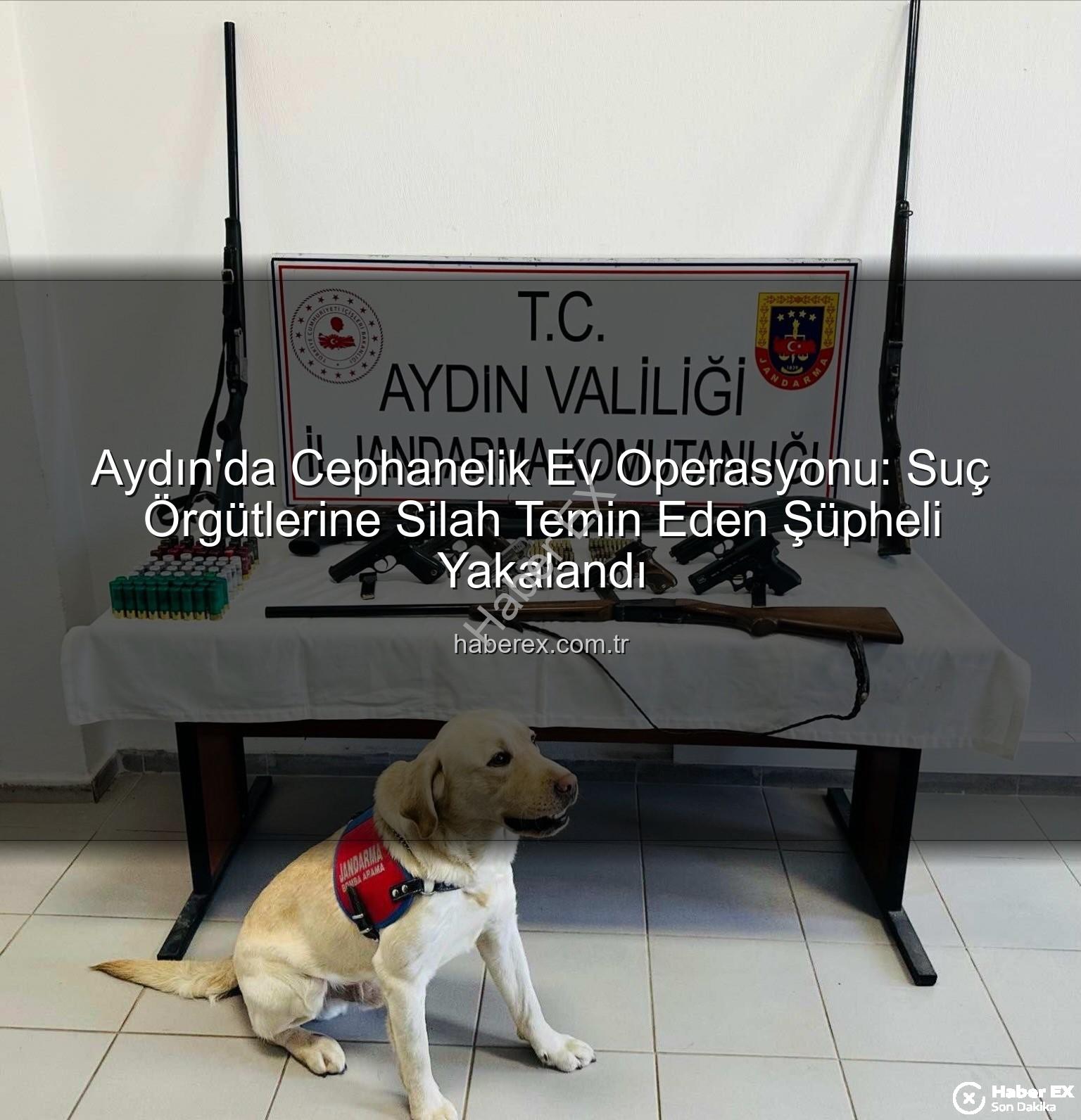 yasadışı silah - Aydın'da Cephanelik Ev Operasyonu: Suç Örgütlerine Silah Temin Eden Şüpheli Yakalandı