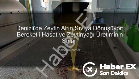 Denizli’de Zeytin Altın Sıvıya Dönüşüyor: Bereketli Hasat ve Zeytinyağı Üretiminin Sırları