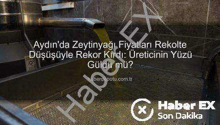 Aydın’da Zeytinyağı Fiyatları Rekolte Düşüşüyle Yükseldi: Üreticinin Yüzü Gülecek mi?