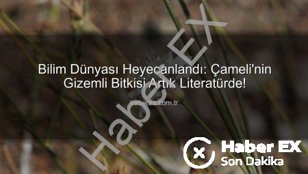 Bilim Dünyası Heyecanlandı: Çameli’nin Gizemli Bitkisi Artık Literatürde!