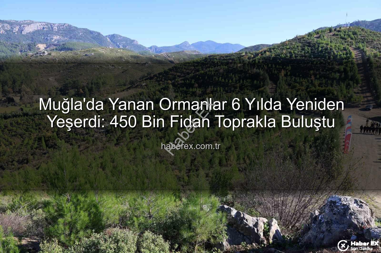 ormanlar yeniden yeşerdi - Muğla'da Yanan Ormanlar 6 Yılda Yeniden Yeşerdi: 450 Bin Fidan Toprakla Buluştu